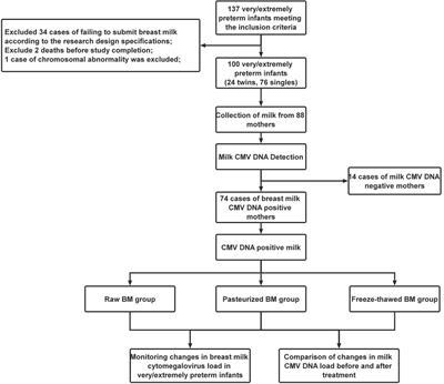 Changes in cytomegalovirus load in the breast milk of very/extremely premature infants and the effect of pasteurization and freeze–thawing on reducing viral load